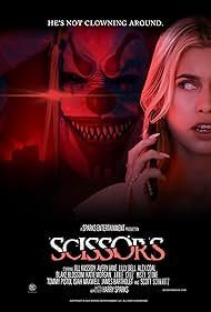 locandina del film SCISSORS