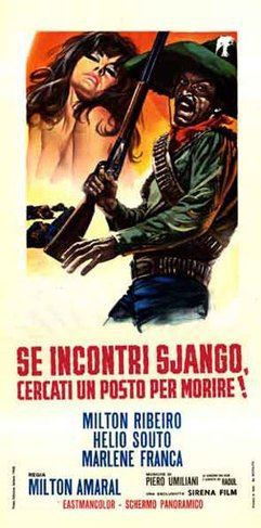 locandina del film SE INCONTRI DJANGO CERCATI UN POSTO PER MORIRE