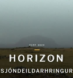 locandina del film SJONDEILDARHRINGUR