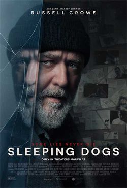 locandina del film SLEEPING DOGS
