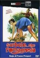 locandina del film SORBOLE... CHE ROMAGNOLA