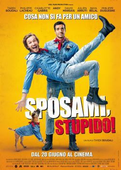 locandina del film SPOSAMI, STUPIDO!