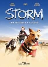 locandina del film STORM - UNA TEMPESTA A 4 ZAMPE