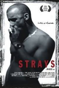 locandina del film STRAYS