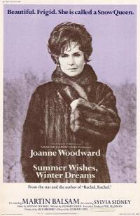 locandina del film SUMMER WISHES WINTER DREAMS