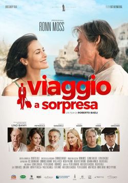 locandina del film VIAGGIO A SORPRESA