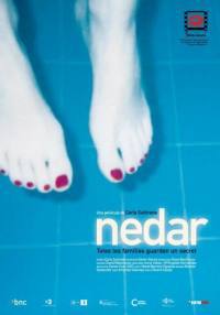 locandina del film SWIMMING