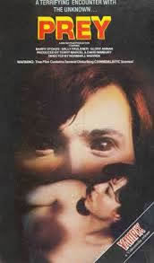 locandina del film TERRORE AD AMITYVILLE PARK