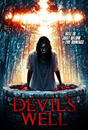 locandina del film THE DEVIL'S WELL