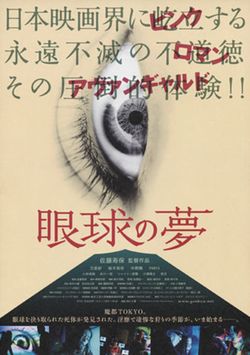 locandina del film THE EYE'S DREAM
