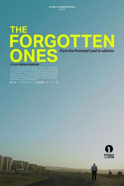 locandina del film MIZRAHIM, LES OUBLIES DE LA TERRE PROMISE