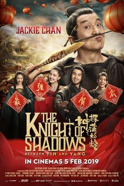locandina del film THE KNIGHT OF SHADOWS: BETWEEN YIN AND YANG