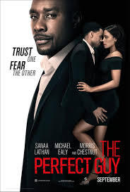 locandina del film THE PERFECT GUY