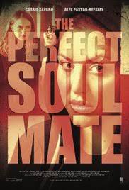 locandina del film THE PERFECT SOULMATE