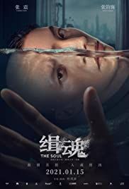 locandina del film THE SOUL