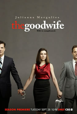 locandina del film THE GOOD WIFE - STAGIONE 2