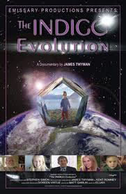 locandina del film THE INDIGO EVOLUTION