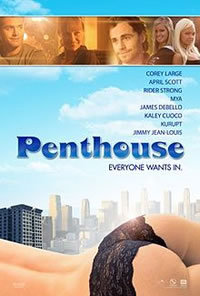 locandina del film THE PENTHOUSE