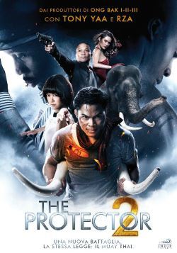locandina del film THE PROTECTOR 2