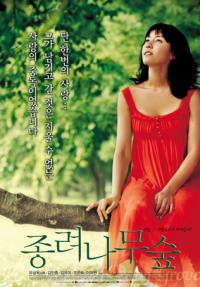 locandina del film THE WINDMILL PALM GROVE