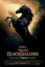 locandina del film THE YOUNG BLACK STALLION