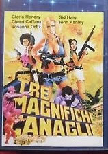 locandina del film TRE MAGNIFICHE CANAGLIE