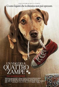 locandina del film UN VIAGGIO A QUATTRO ZAMPE