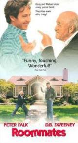 locandina del film UN ADORABILE TESTARDO