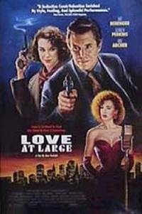 locandina del film UN AMORE PASSEGGERO