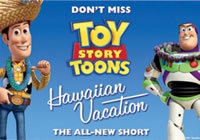 locandina del film VACANZE HAWAIIANE