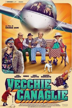 locandina del film VECCHIE CANAGLIE