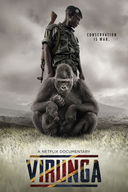 locandina del film VIRUNGA