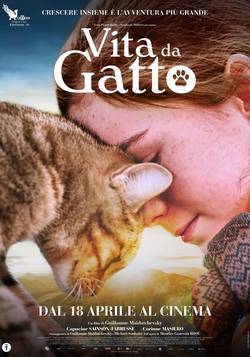 locandina del film VITA DA GATTO