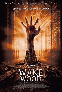 locandina del film WAKE WOOD