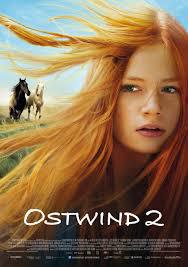 locandina del film WINDSTORM - CONTRO OGNI REGOLA