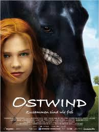 locandina del film WINDSTORM - LIBERI NEL VENTO
