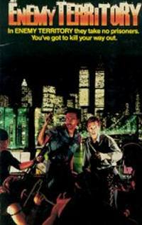 locandina del film MANHATTAN WARRIORS - ZONA PERICOLOSA