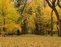 Immagine tratta dal film AUTUMN IN NEW YORK