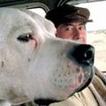 Immagine tratta dal film BOMBON - EL PERRO