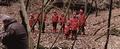 Immagine tratta dal film CALVAIRE