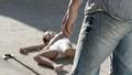 Immagine tratta dal film COME OUT AND PLAY