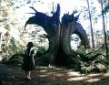Immagine tratta dal film IL LABIRINTO DEL FAUNO