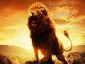 Immagine tratta dal film LE CRONACHE DI NARNIA: IL LEONE, LA STREGA E L'ARMADIO