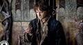 Immagine tratta dal film LO HOBBIT - LA BATTAGLIA DELLE CINQUE ARMATE