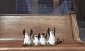Immagine tratta dal film MADAGASCAR