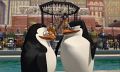 Immagine tratta dal film MADAGASCAR