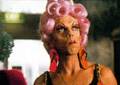 Immagine tratta dal film PRISCILLA, LA REGINA DEL DESERTO