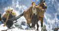 Immagine tratta dal film SETA
