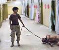 Immagine tratta dal film STANDARD OPERATING PROCEDURE