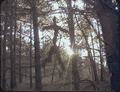 Immagine tratta dal film THE BLAIR WITCH PROJECT - IL MISTERO DELLA STREGA DI BLAIR